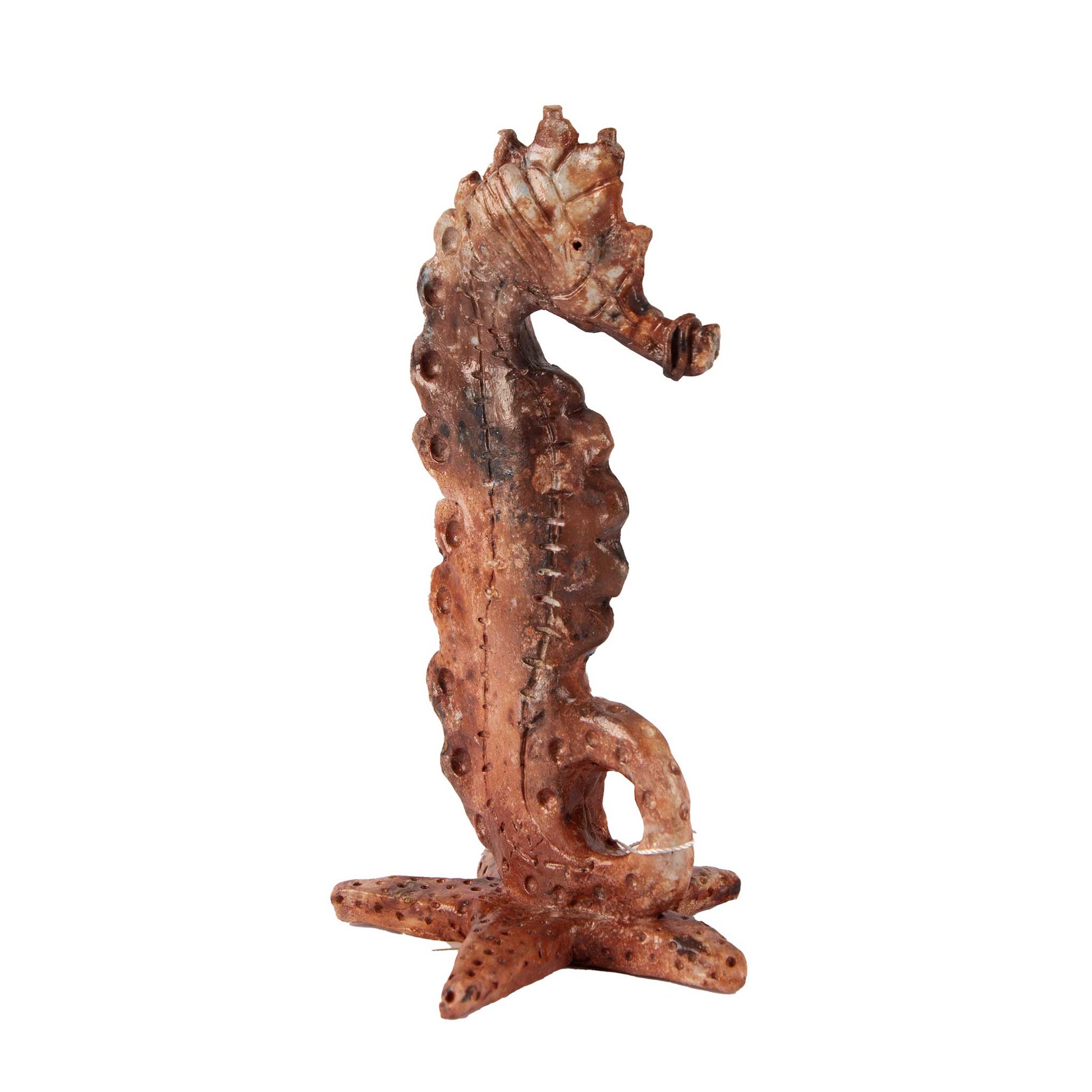 SAS Baby Seahorse Statue, Ceramic Seahorse, Nautical Statue