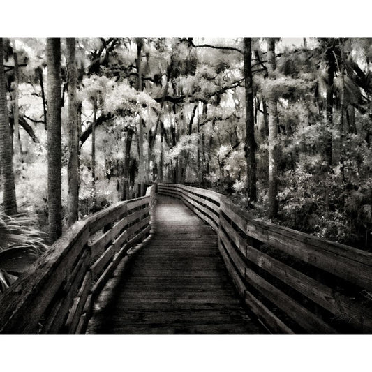 Blue Spring Lake Boardwalk, Print, 8"x10", matted to 11"x14", black and white image,  walking bridge, Blue Spring Lake, Charles Dean Carpino