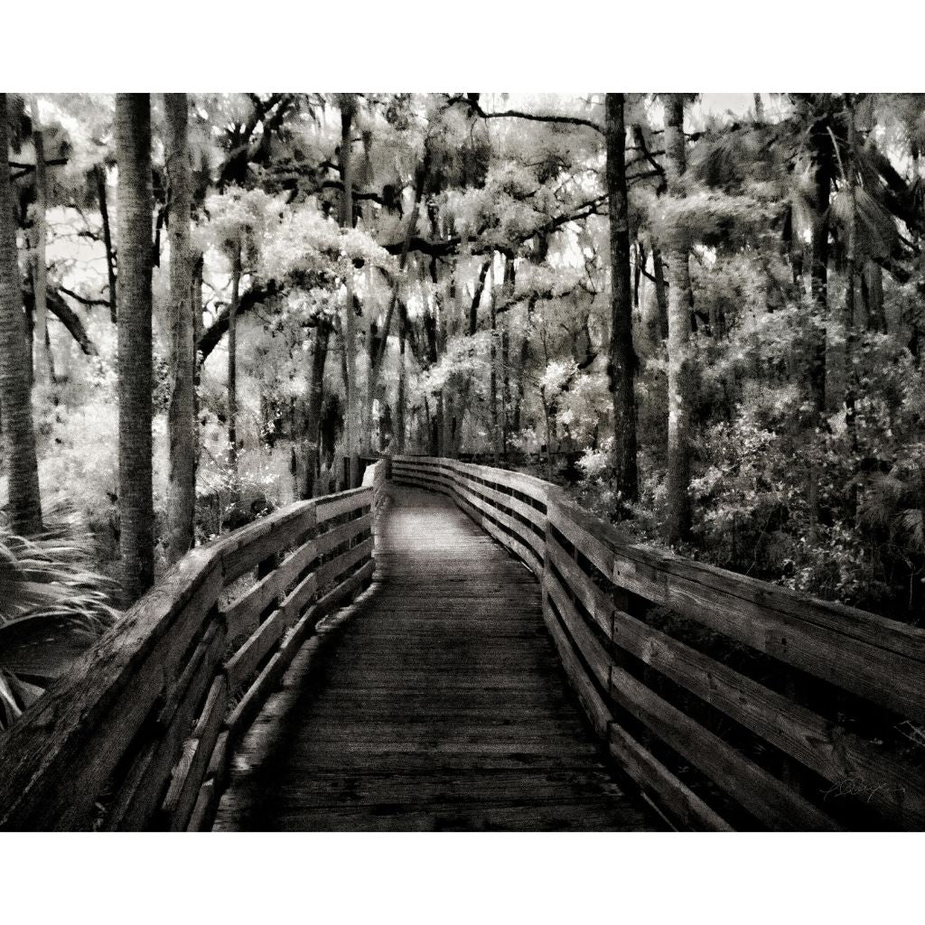 Blue Spring Lake Boardwalk, Print, 8"x10", matted to 11"x14", black and white image,  walking bridge, Blue Spring Lake, Charles Dean Carpino