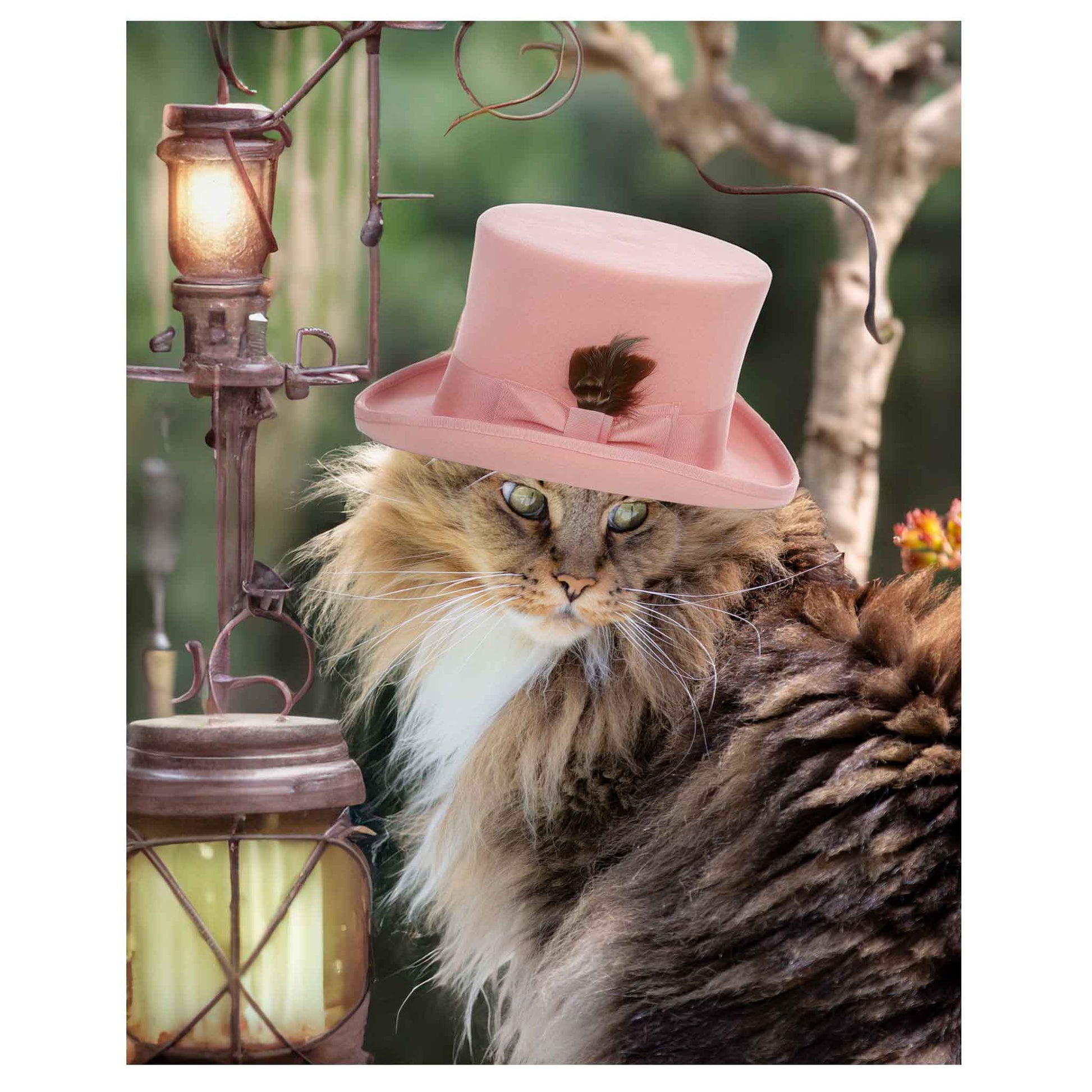Charles Dean Carpino, photograph, Maine coon cat, computer generated background, steampunk, cat in hat, colorful, whimsical, photo, 8x10,  matted and framed 11x14