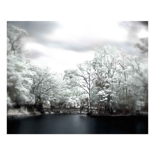 Wekiva Springs State Park, Print, Charles Dean Carpino, 8"x10", matted to 11"x14",  black and white, print, hand colored