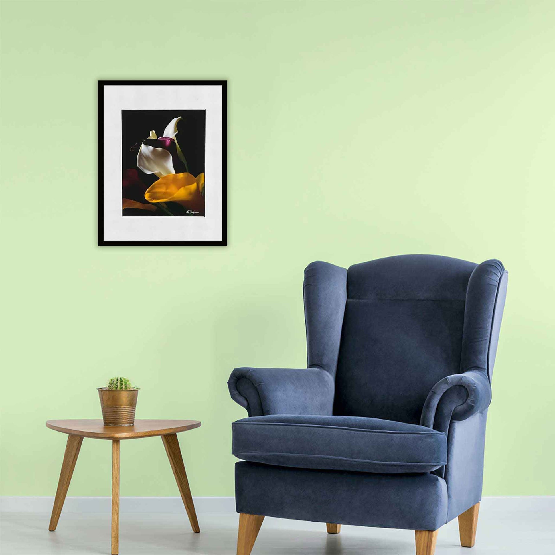 White Calla Lily,  Black Background, Matted Print ,  8X10, matted to 11X14, print, unframed, colorful , Calla Lillies, Charles Dean Carpino