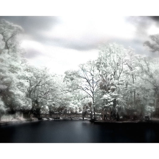 Print, black and white, infrared image, Wekiva Island, FL, hand Color Tinted, infrared, 8 X 10 matted to 11 x 14, Charles Dean Carpino