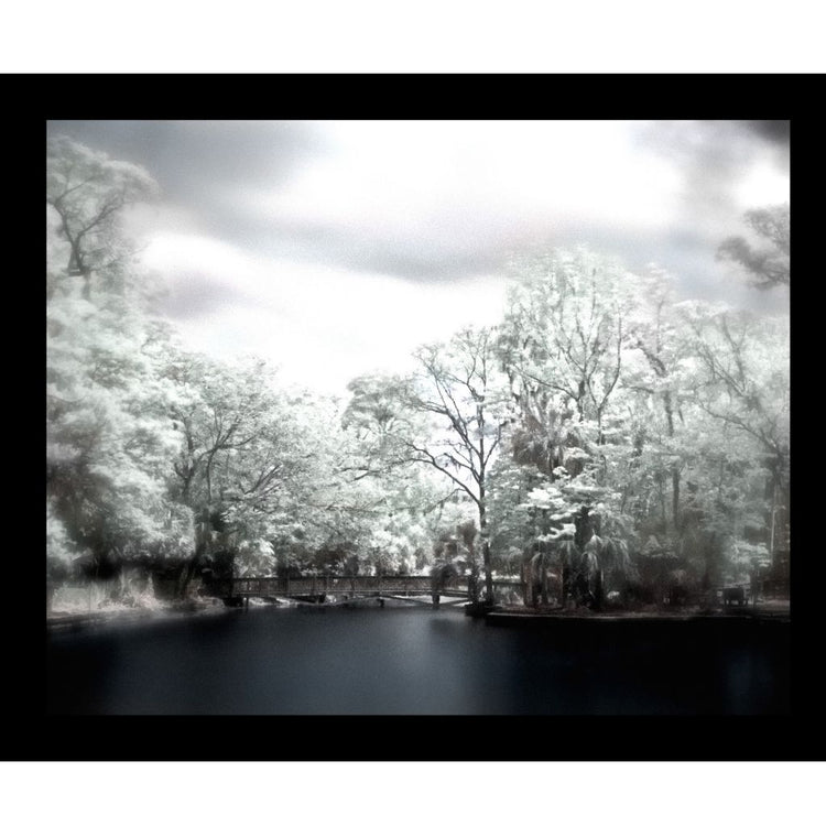 Print, black and white, infrared image, Wekiva Island, FL, hand Color Tinted, infrared, 8 X 10 matted to 11 x 14, Charles Dean Carpino