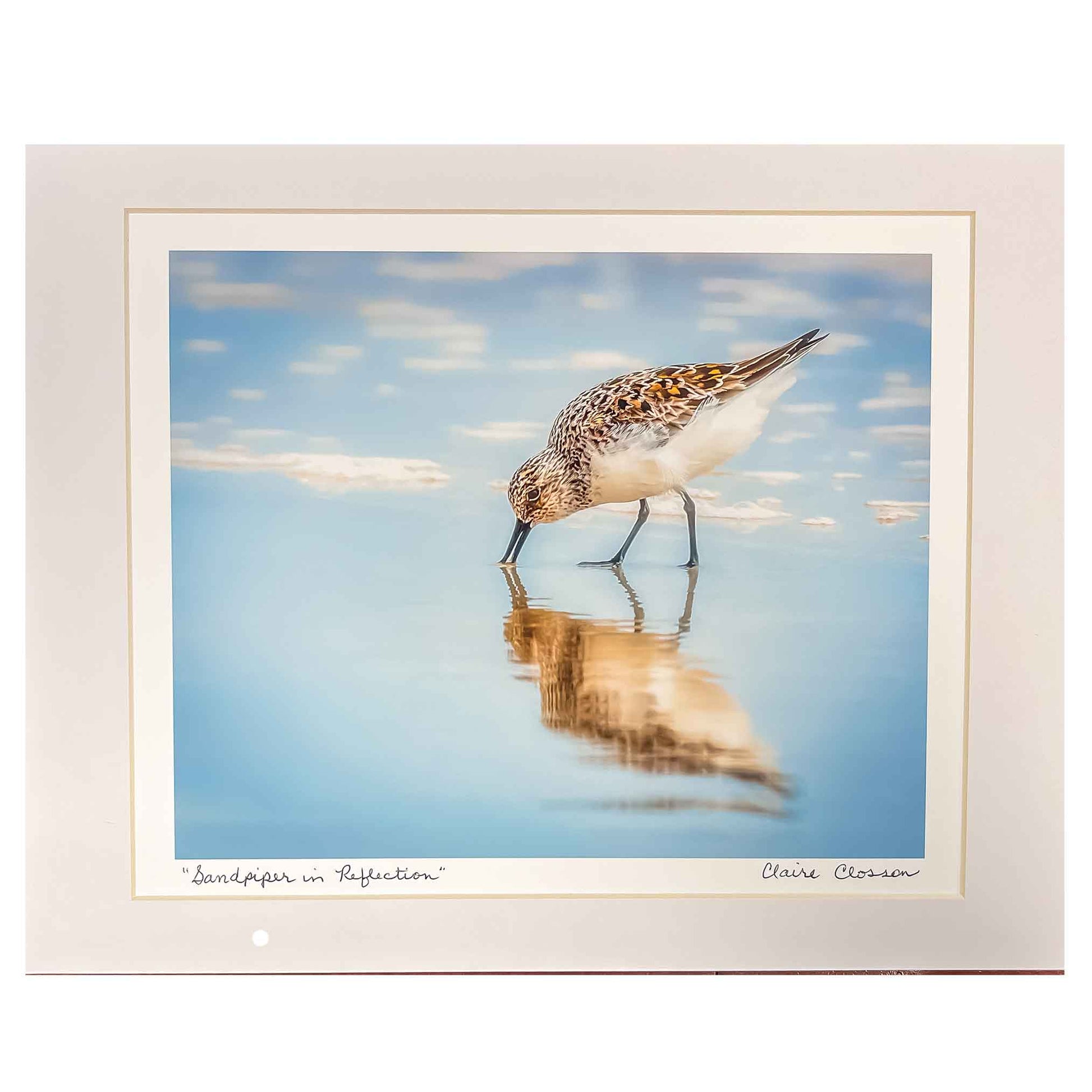ECC “Sandpiper in Reflection” Matted Print of an Original Photograph by Claire Closson. Stunning photo of a Florida shorebird, a Sand Piper. Reflected in the calm water a serene photograph. Wild bird photography. Pale blue sky with soft clouds serve as a backdrop for this pristine photograph of tis iconic shore bird. Matted to 11 x 14 inches. Ready to be framed.