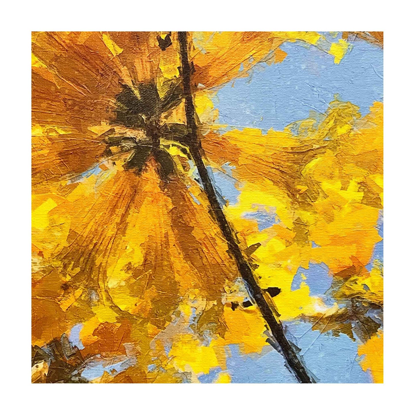 ECC Spring is in the Air Framed Canvas Print by Photographer Claire Closson. A stunning print of an original photograph features blooms of the tabebuia tree on a clear blue sty. This print is done in the Painterly Style. 12 X 12 inches.