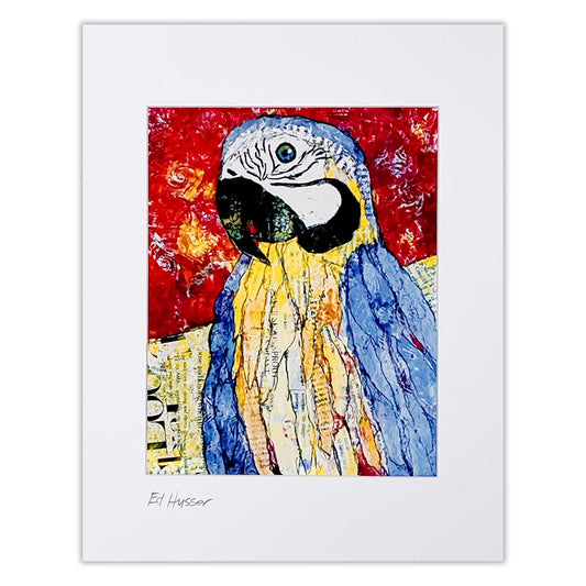 EMH Blue Parrot Print by Artist Edward Husser