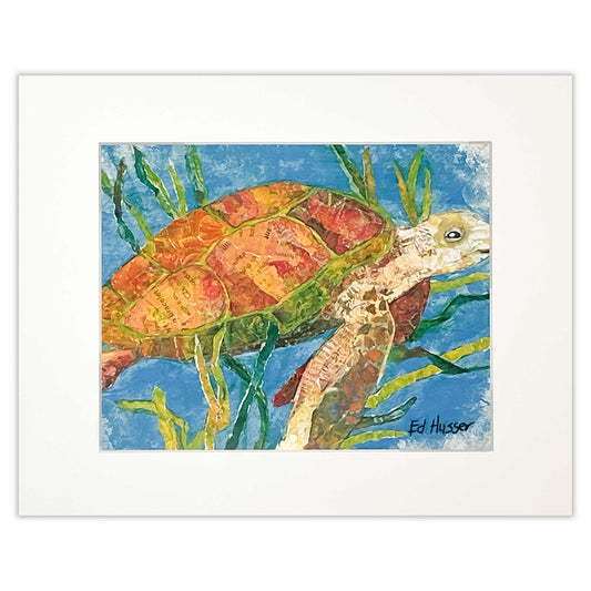 Matted  EMH Sea Turtle Print by Artist Edward Husser