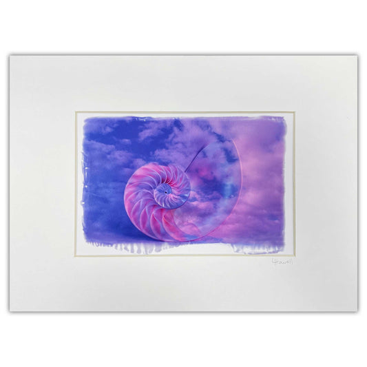 macro image photography, nautilus shell, surreal presentation, clouds, blue and pink, matted print