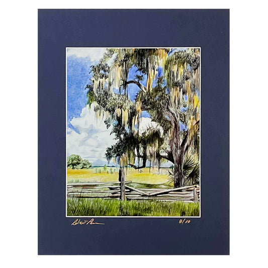 RWP Cracker Ranch Print of Colored Pencil Painting by Bob Pearson.  Bob is an accomplished colored pencil artist.  11 x 14" matted print.  Live oak tree with Spanish Moss. Green Grass and Blue skies.  Beautiful Florida Scene. Near Kissimmee Florida.  