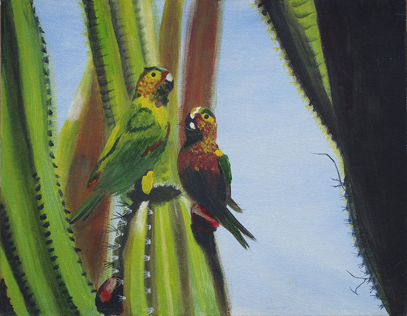 Art Prints, Prikitchis, parakeets, trupiale, Oriole, Parrots, Polly, Tropical Birds, Colorful.