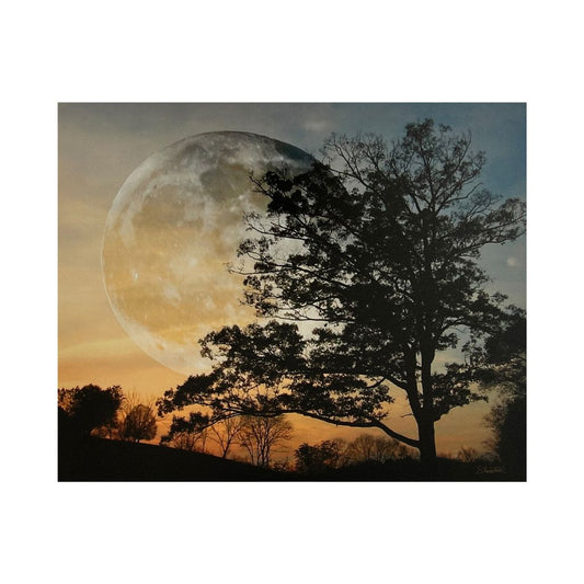 Moon and Tree in Sunset full view 16x20 print on canvas