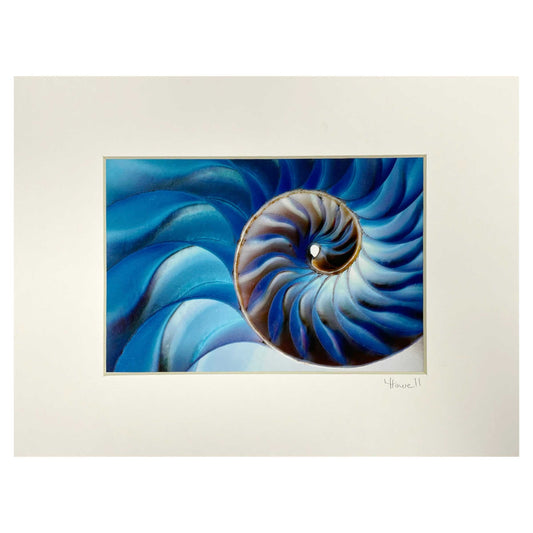 Artistic rendering of a nautilus shell in rick blue, purple and gold tones.  In a white, acid free mat signed by the Photographer