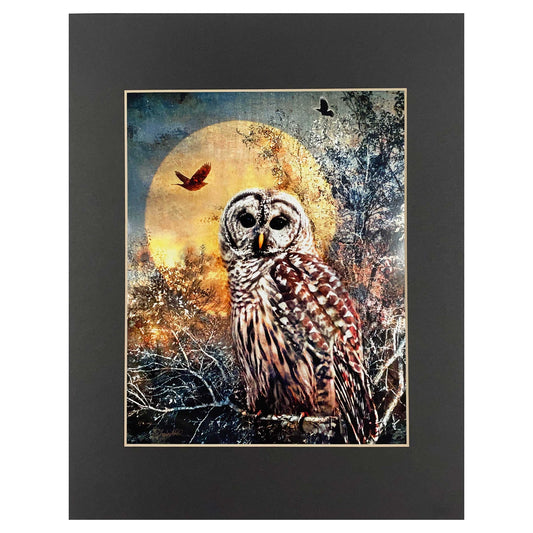 owl in the moonlight photo print, owl photo, moonlit landscape photo, composite photo 