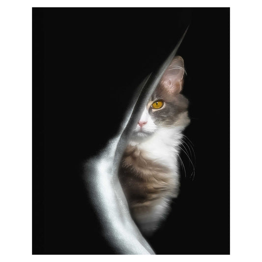 integrity, cat, kitten, Woman's back, art photography, black and white photograph.The Guardian Composite Photograph