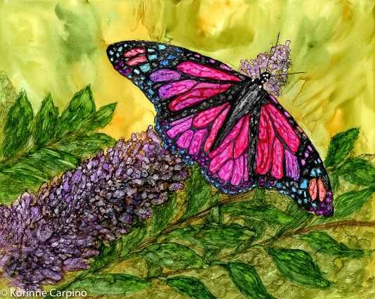 Tropical Butterfly art print closeup