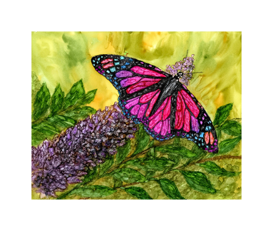 tropical butterfly art print with white mat